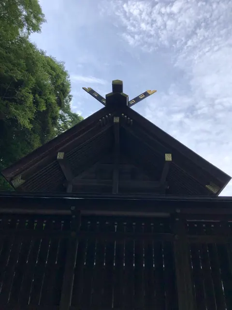 安房神社（撮影: くりたま）