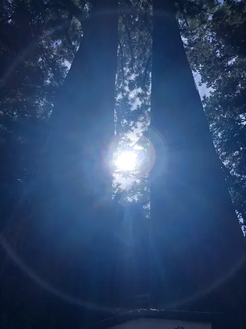 日光二荒山神社（撮影: くりたま）