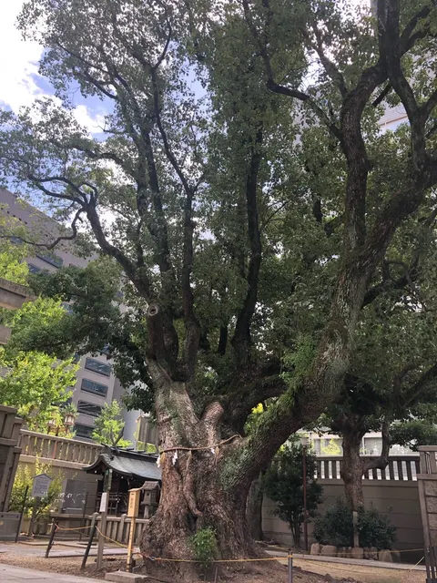 博労稲荷神社（撮影: くりたま）
