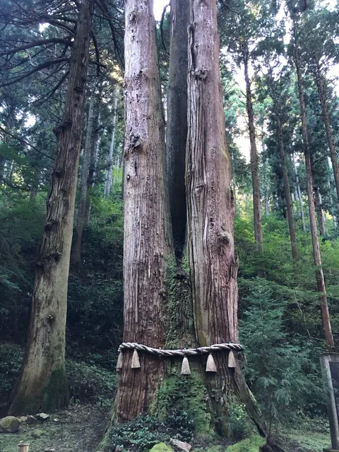 御岩神社（撮影: くりたま）