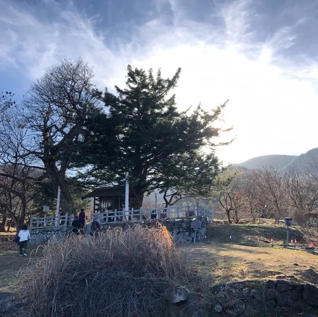諏訪大社下社秋宮