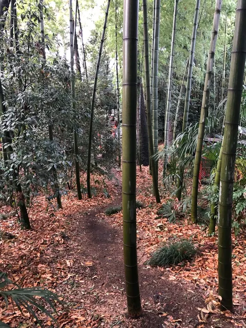 冠稲荷神社（撮影: くりたま）