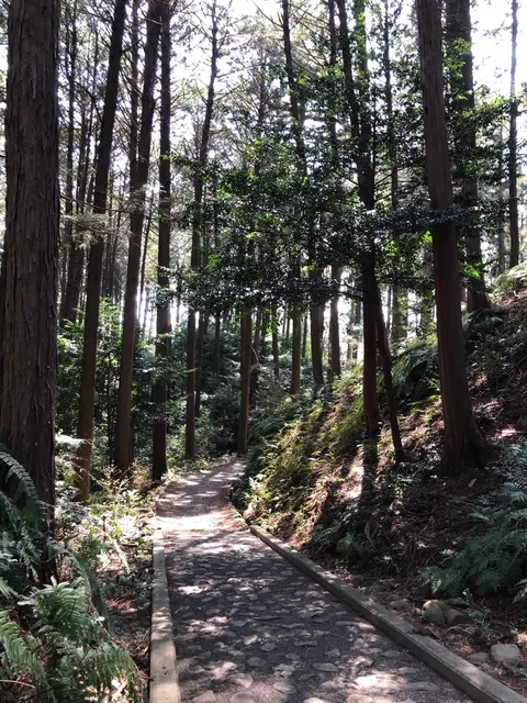 天宮神社（撮影: くりたま）