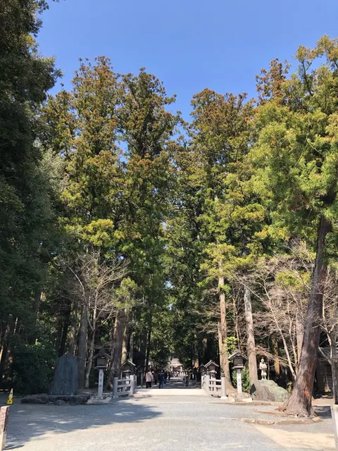 小國神社（撮影: くりたま）