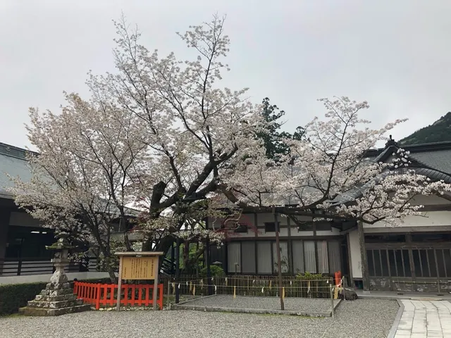 熊野那智大社（撮影: くりたま）