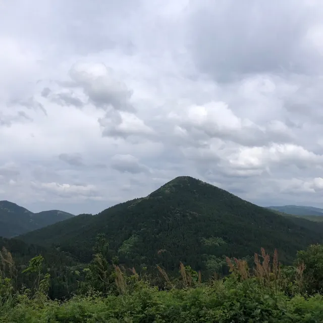 白龍稲荷神社（撮影: くりたま）