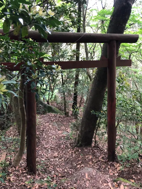 白龍稲荷神社（撮影: くりたま）