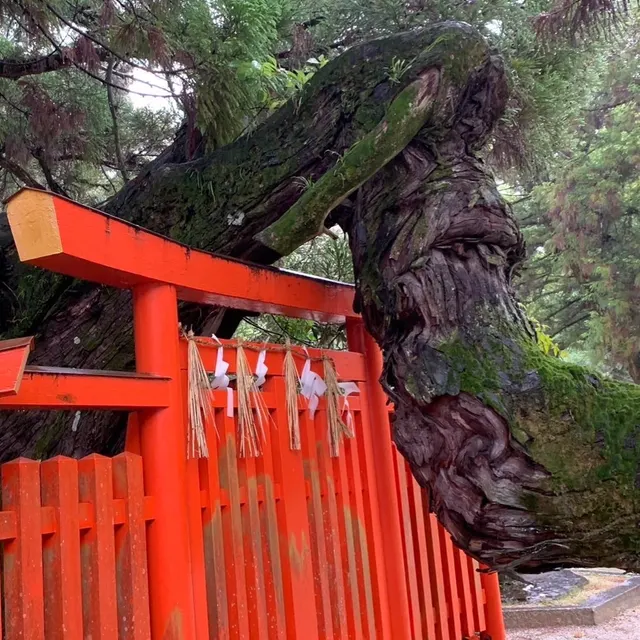 志賀海神社（撮影: くりたま）