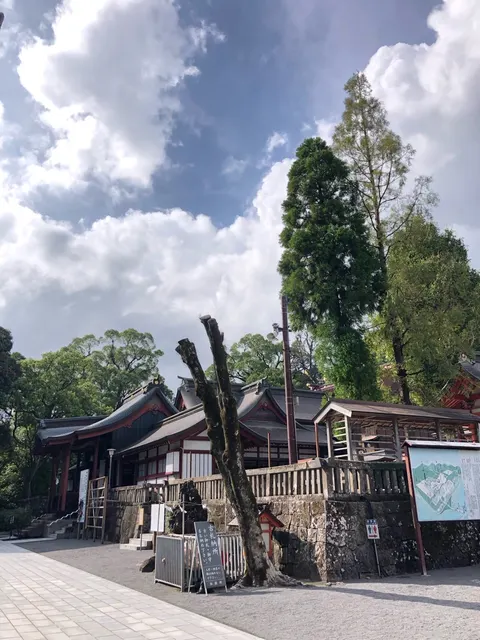 鹿児島神宮（撮影: くりたま）