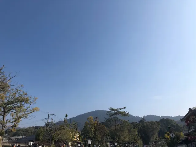 大神神社（撮影: くりたま）