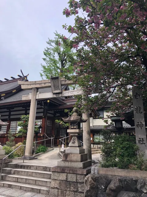 白龍神社（撮影: くりたま）