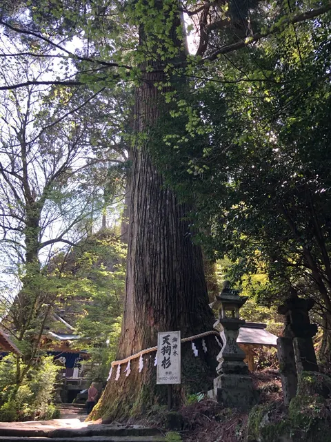 高住神社（撮影: くりたま）
