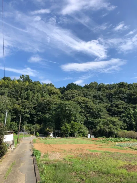 瀧川神社（撮影: くりたま）
