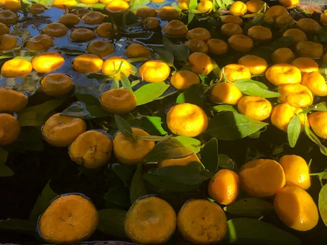 一粒萬倍 阿那稲荷神社（撮影: くりたま）