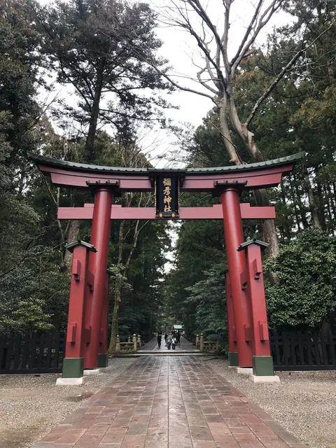 彌彦神社（撮影: くりたま）