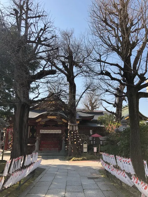 素盞雄神社（撮影: くりたま）