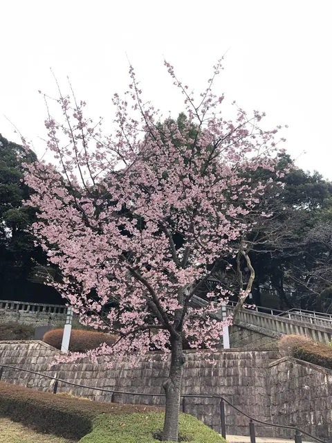 宇都宮二荒山神社（撮影: くりたま）